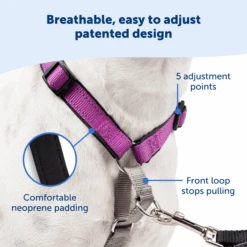 3 In 1 Harness -PetSafe® 3IN1 XS BLACK P03