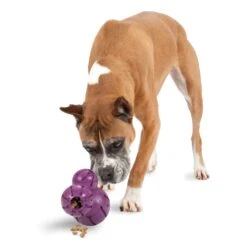 Busy Buddy® Barnacle -PetSafe® Amazon Toys Barnacle Hero L