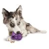 Busy Buddy® Barnacle -PetSafe® Amazon Toys Barnacle Hero M
