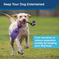 Busy Buddy® Tug-A-Jug™ -PetSafe® Amazon Toys Tug Jug Benefits