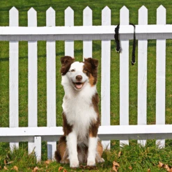 KeepSafe® Collar -PetSafe® KSC P01