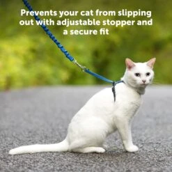Come With Me Kitty™ Cat Harness & Bungee Leash 15 Come With Me Kitty™ Cat Harness & Bungee Leash -PetSafe® P01 b1ff476a 1fc3 49f9 b6eb 4af5c195c8b4