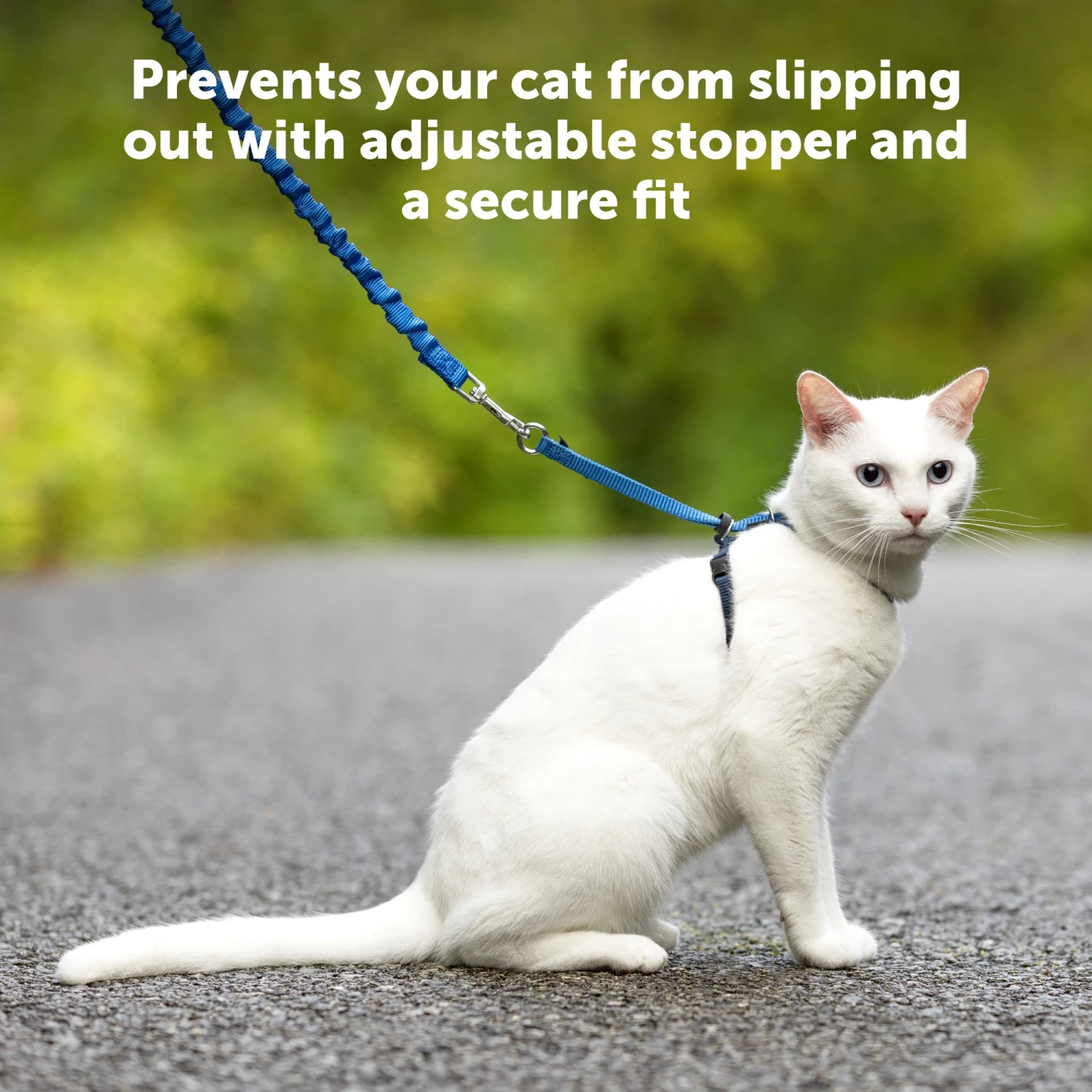 Come With Me Kitty™ Cat Harness & Bungee Leash 5 Come With Me Kitty™ Cat Harness & Bungee Leash - Image 3