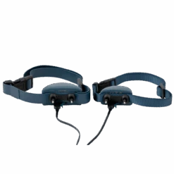 Remote Trainer USB Adaptor 10 Remote Trainer USB Adaptor -PetSafe® PAC00 16357 P03