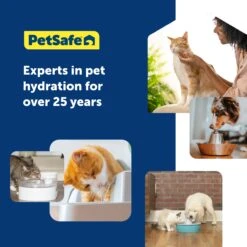 Ion-X™ Pet Fountain Filters, 4-Pack -PetSafe® PAC00 17260 P05