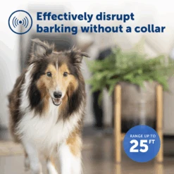 Indoor Bark Control -PetSafe® PBC 1000 P02