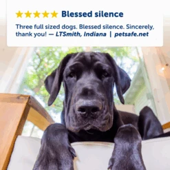 Indoor Bark Control -PetSafe® PBC 1000 P03