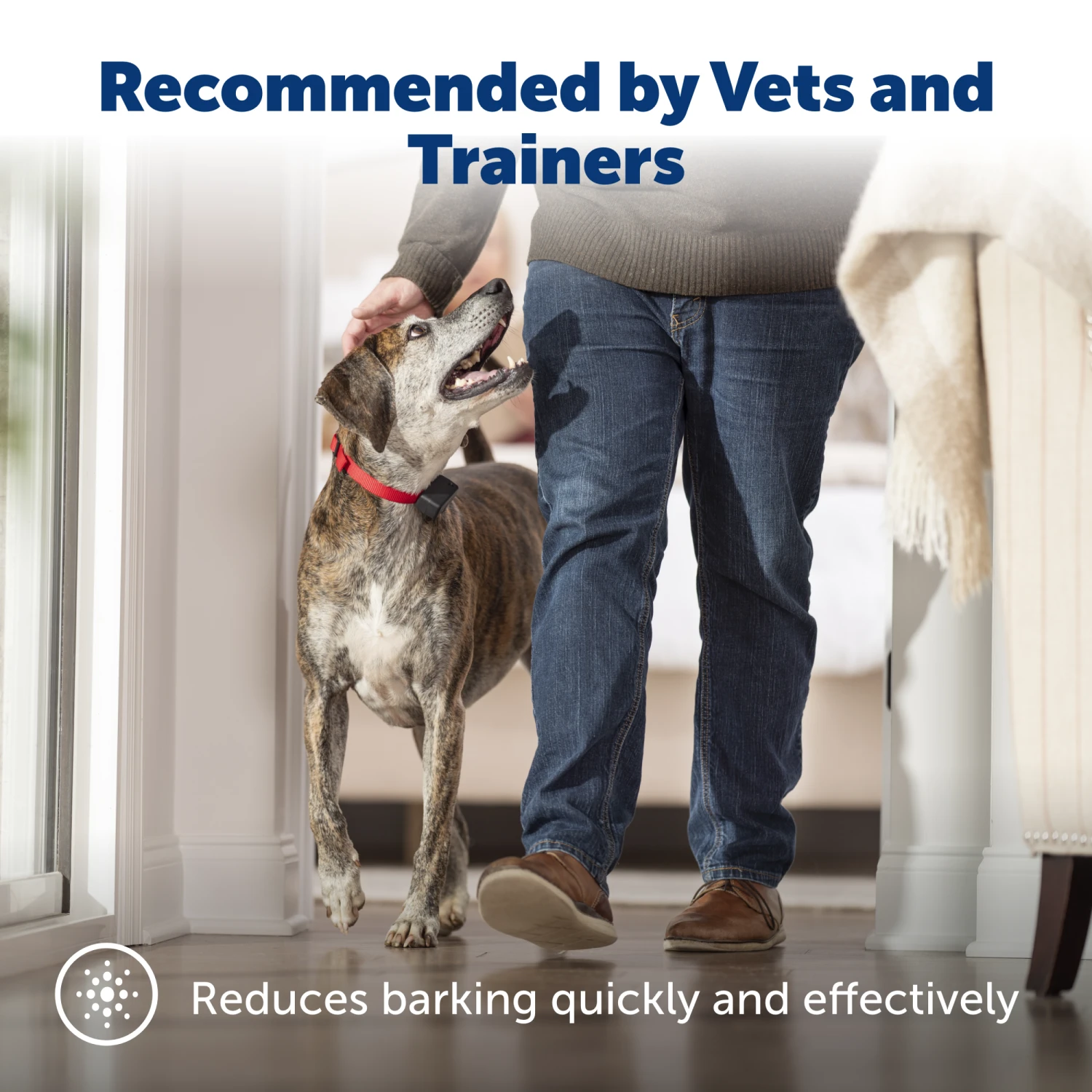 Basic Bark Control Collar 4 Basic Bark Control Collar - Image 2