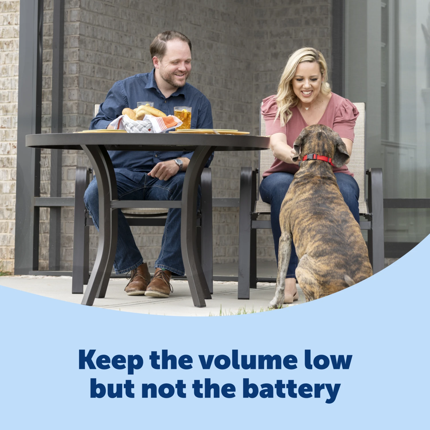 Basic Bark Control Collar 7 Basic Bark Control Collar - Image 5