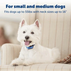 Elite Little Dog Spray Bark Control -PetSafe® PBC00 11283 P03