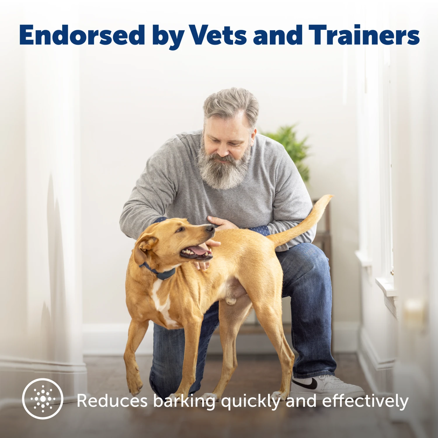 Rechargeable Bark Control Collar 4 Rechargeable Bark Control Collar - Image 2