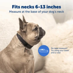 NanoBark™ Collar -PetSafe® PBC00 17758 P04