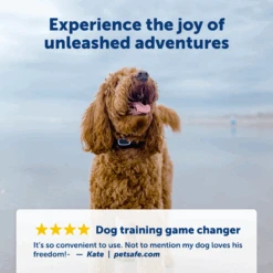 Remote Trainer -PetSafe® PDT00 16126 P03