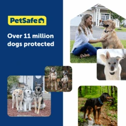 Guardian® GPS Dog Fence -PetSafe® PIF00 17933 P06