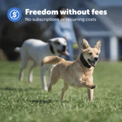 Guardian® GPS Add-A-Dog® Collar 10 Guardian® GPS Add-A-Dog® Collar -PetSafe® PIF00 17934 P02