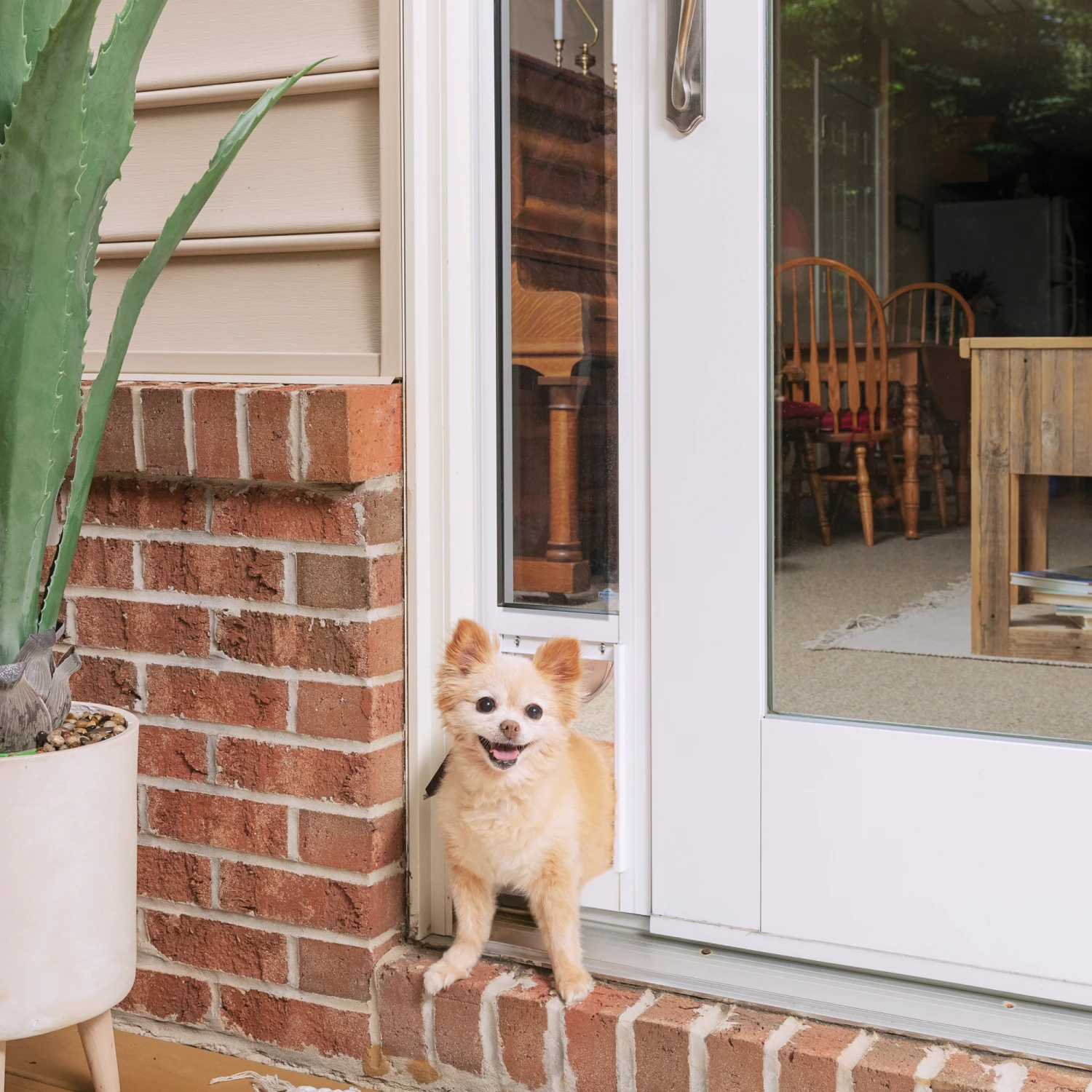 Sliding Glass Pet Door, 2 Piece 3 Sliding Glass Pet Door, 2 Piece