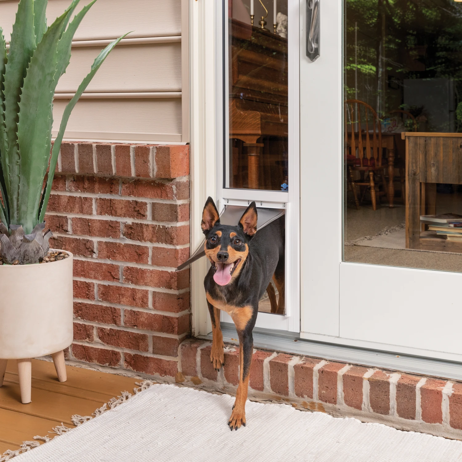 Sliding Glass Pet Door, 2 Piece 4 Sliding Glass Pet Door, 2 Piece - Image 2