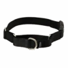 Martingale Collar With Quick Snap Buckle -PetSafe® PQC BLK MAIN