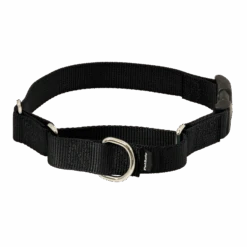 Martingale Collar With Quick Snap Buckle
