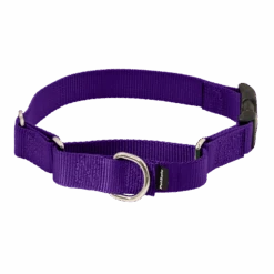 Martingale Collar With Quick Snap Buckle -PetSafe® PQC DPP MAIN