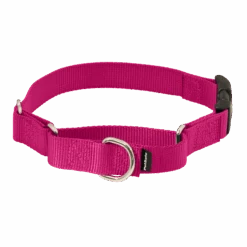 Martingale Collar With Quick Snap Buckle -PetSafe® PQC RAS MAIN
