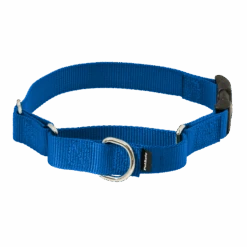 Martingale Collar With Quick Snap Buckle -PetSafe® PQC RYL MAIN