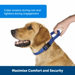 Martingale Collar With Quick Snap Buckle -PetSafe® PQC P01