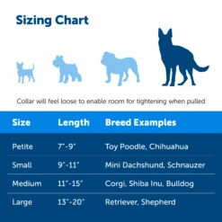 Martingale Collar With Quick Snap Buckle -PetSafe® PQC P03