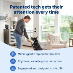 Basic Dog Trainer With Remote -PetSafe® PS AMZ ATF BasicTrainer 3 Patented