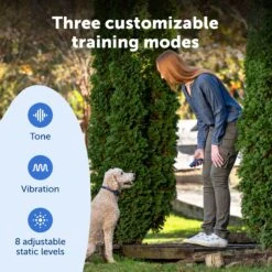 Basic Dog Trainer With Remote -PetSafe® PS AMZ ATF BasicTrainer 4 Customizable