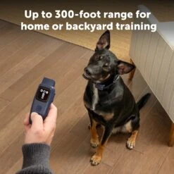Basic Dog Trainer With Remote -PetSafe® PS AMZ ATF BasicTrainer 7 Range