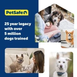 Basic Dog Trainer With Remote -PetSafe® PS AMZ ATF BasicTrainer 9 BrandSignoff