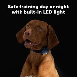 Core Trainer Add-A-Dog® Collar -PetSafe® PS AMZ ATF CoreTrainer 2 Safe 2