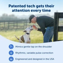 Core Dog Trainer With Remote -PetSafe® PS AMZ ATF CoreTrainer 3 Patented 1