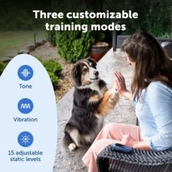 Core Trainer Add-A-Dog® Collar -PetSafe® PS AMZ ATF CoreTrainer 4 Customizable 3