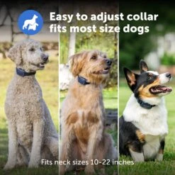 Core Trainer Add-A-Dog® Collar -PetSafe® PS AMZ ATF CoreTrainer 6 Fit 2
