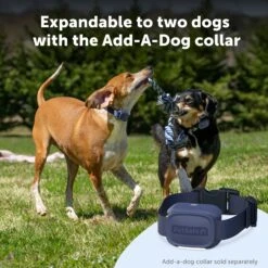 Core Dog Trainer With Remote -PetSafe® PS AMZ ATF CoreTrainer 8 AddADog 1