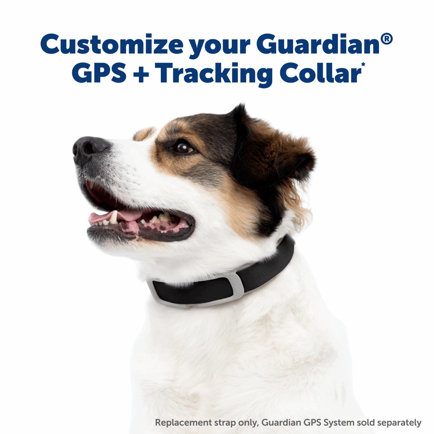 Replacement Strap For Guardian® GPS + Tracking Dog Fence Collar And Guardian® GPS Dog Fence Collar 6 Replacement Strap For Guardian® GPS + Tracking Dog Fence Collar And Guardian® GPS Dog Fence Collar - Image 4