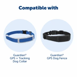 Replacement Strap For Guardian® GPS + Tracking Dog Fence Collar And Guardian® GPS Dog Fence Collar 13 Replacement Strap For Guardian® GPS + Tracking Dog Fence Collar And Guardian® GPS Dog Fence Collar -PetSafe® PS AMZ ATF GPSReplacementStrap 5 Compatible x2 13c17a20 ad9f 412e 8c7f d518005a8816
