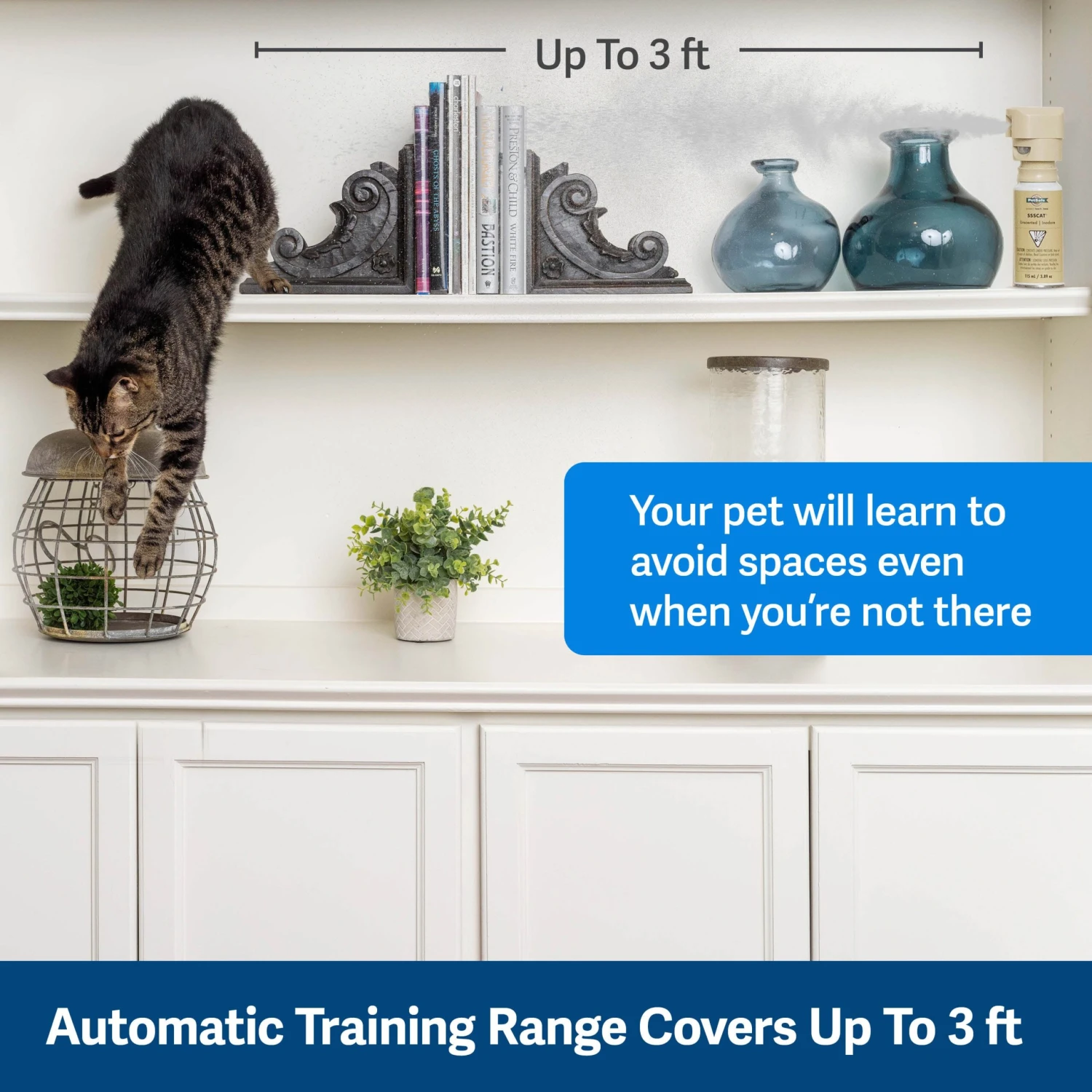 SSSCAT® Spray Pet Deterrent 8 SSSCAT® Spray Pet Deterrent - Image 6