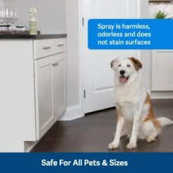 SSSCAT® Replacement Can -PetSafe® PS AmazonATF PPD17 16165 SSSCATSprayRefil 3Safe