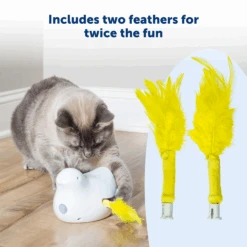 Peek-A-Bird™ Cat Toy Replacement Feathers -PetSafe® PTY00 17363 P02