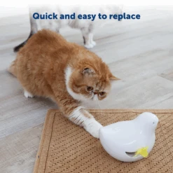 Peek-A-Bird™ Cat Toy Replacement Feathers -PetSafe® PTY00 17363 P03