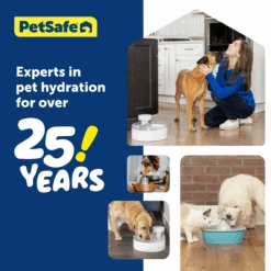 Outlast™ Dog Fountain, 128 Oz -PetSafe® PWW00 17959 P06