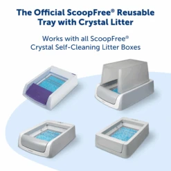ScoopFree® Reusable Tray With Crystal Litter -PetSafe® ZAC60 15710 P02
