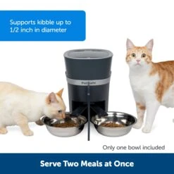 2-Pet Meal Splitter With Bowl -PetSafe® aalteiqsehc9nwjsp2wc 51594e5f 7c7d 4e30 8e52 fa38179f422d