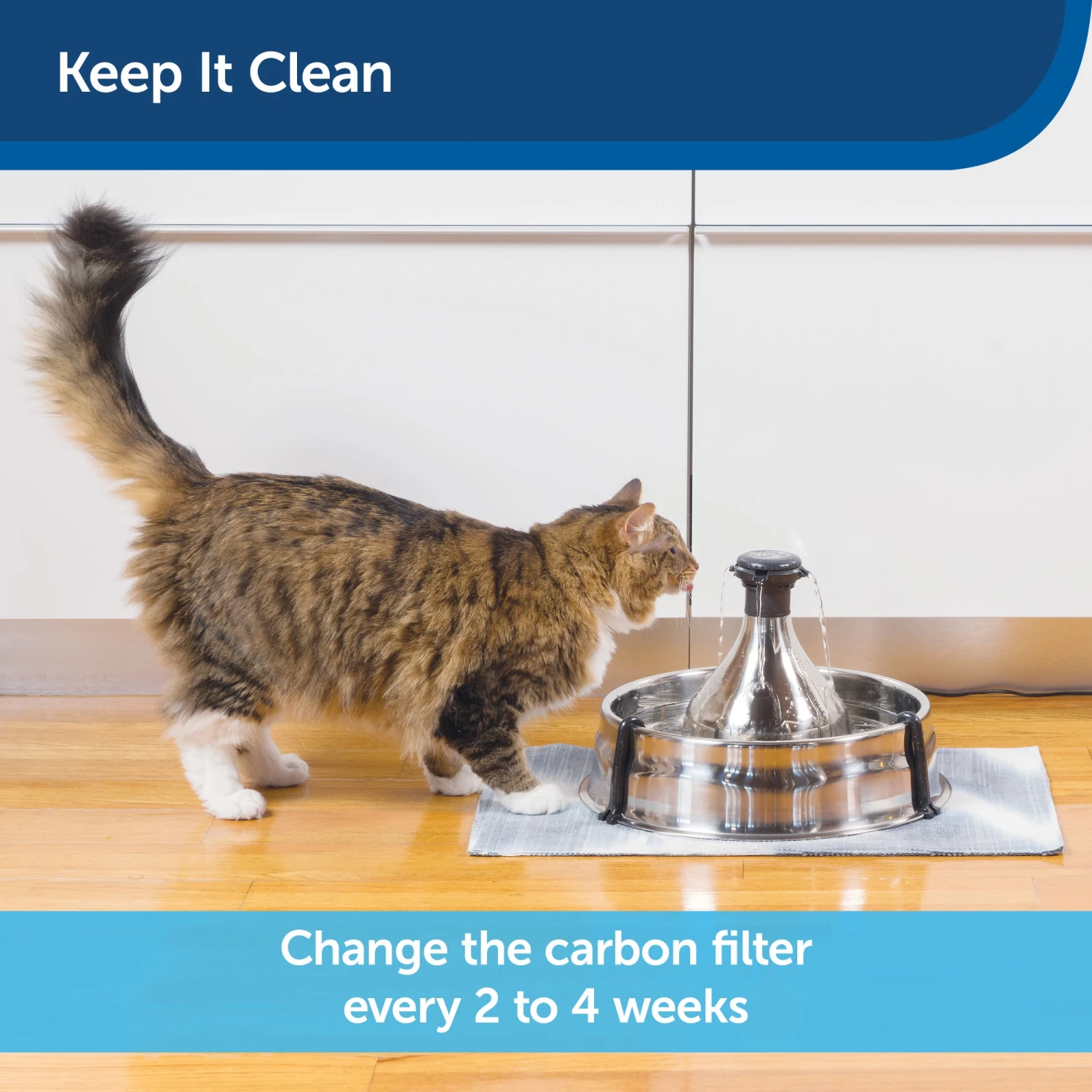 Drinkwell 360™ Fountain Carbon Filters (3-Pack) 7 Drinkwell 360™ Fountain Carbon Filters (3-Pack) - Image 5