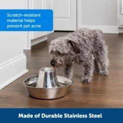 Seaside Stainless Pet Fountain -PetSafe® ajjou2hlnesfqgktk3cd aed26b3b 3dad 4264 a732 aba77efd416b
