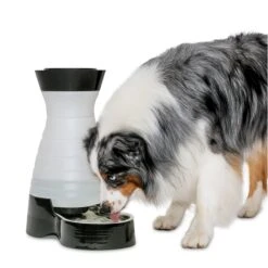 Healthy Pet Water Station™ -PetSafe® ao9uswxbezwkef2shtem 5263fa66 e931 4e84 a680 f897fea6880d
