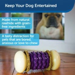 Busy Buddy® Nobbly Nubbly™ -PetSafe® aytnq6bmq9gzdrhoepo2 fd8c287d 4079 4ba3 b6a2 ebd45834fcda